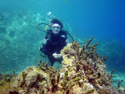 Dive-in kefalonia, Diving in Lassi Kefalonia Greece